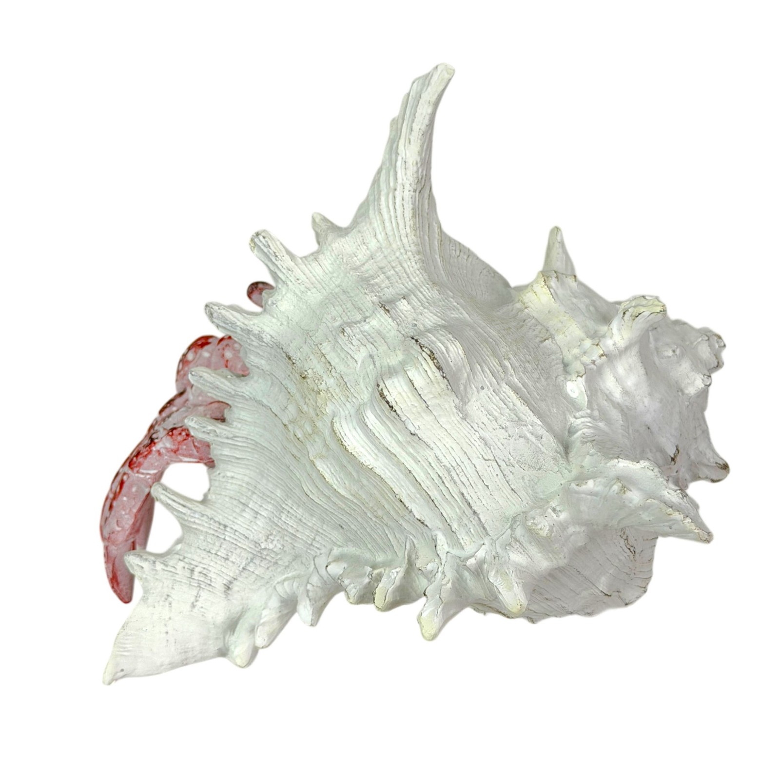 Resin Hermit Crab Statue Red Whitewashed Shell Coastal Figurine 5.25 In
