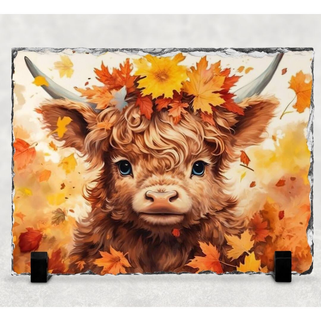 Highland Cow Leaves Western Photo On Slate Rock 7.9” X 5.9” Stone Plaque