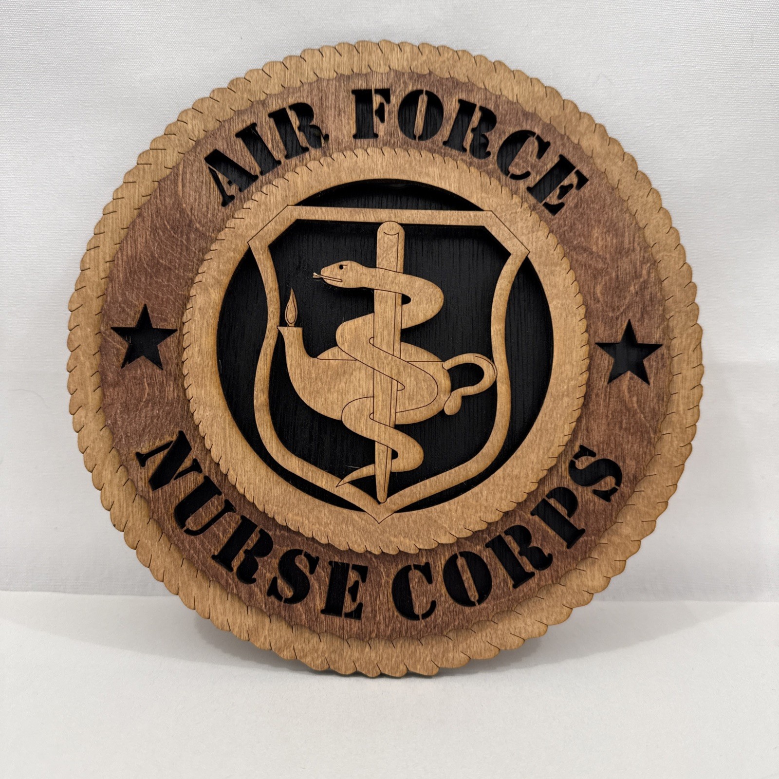 Air Force Nurses Corp. LASER CUT 3D PLAQUE 8.5&Prime; DIAMATER NEW