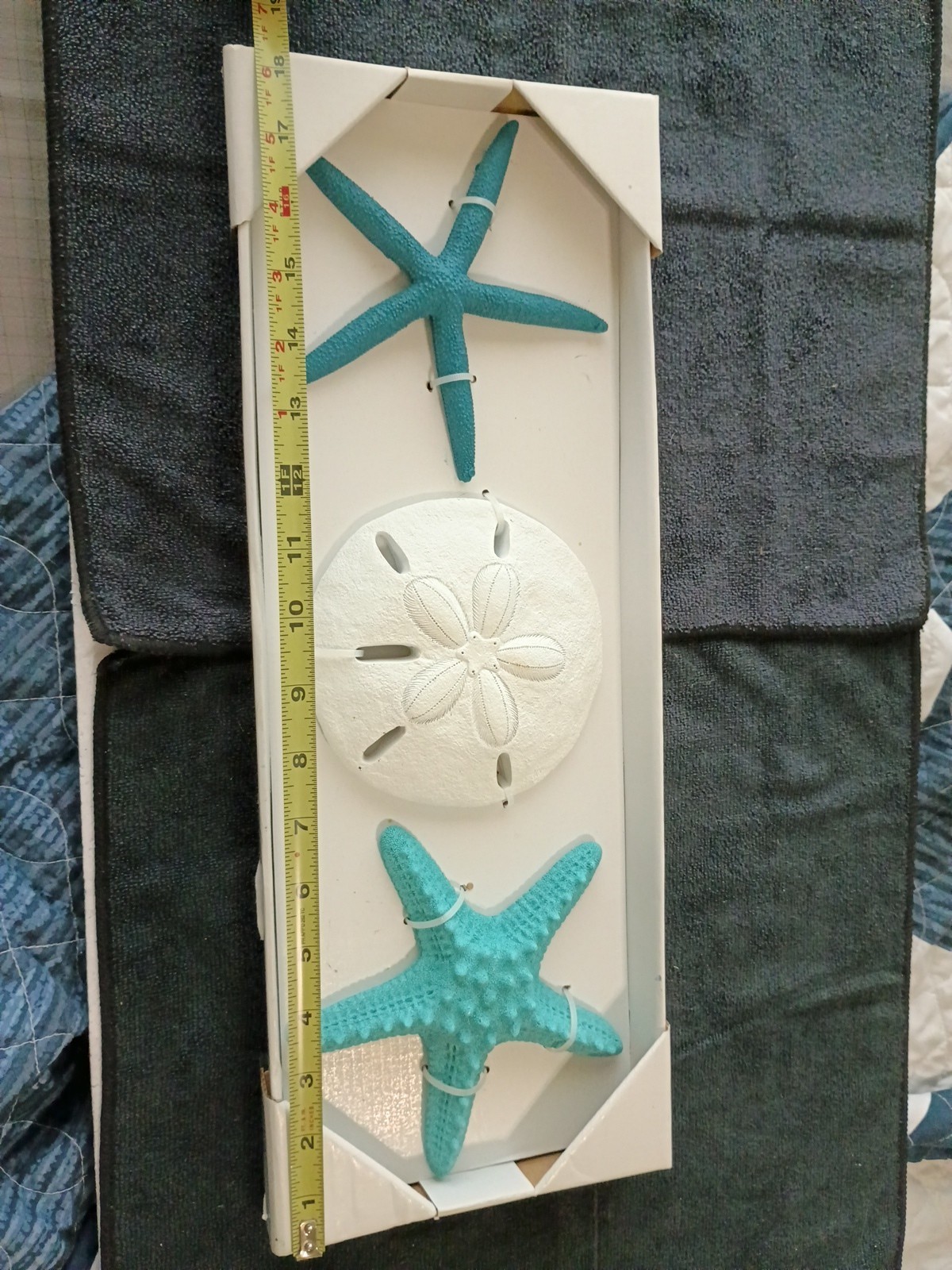 3pc Nautical-themed coastal wall decor pieces- 2 starfish and a sand dollar.
