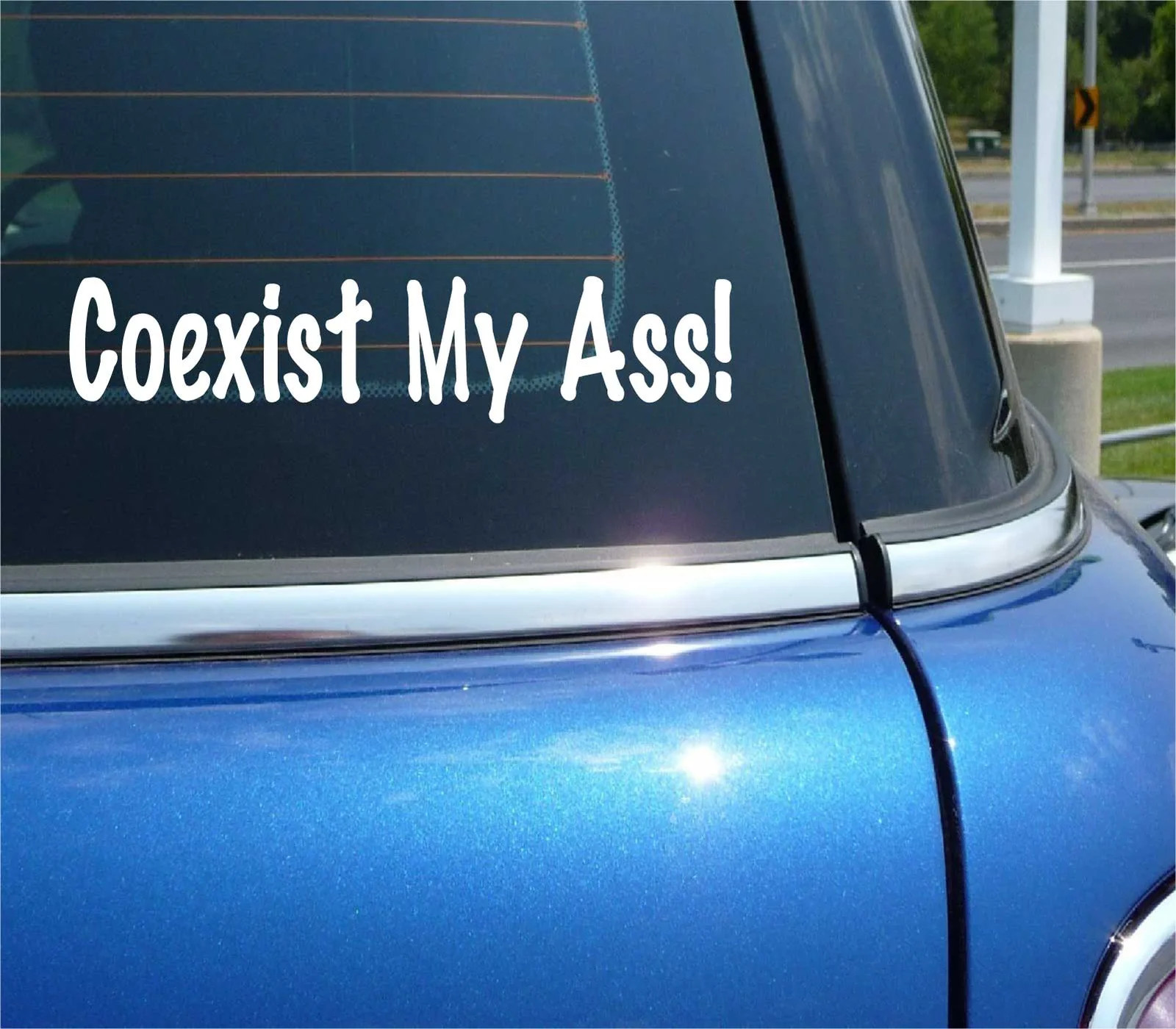 COEXIST MY ASS PC REBEL FUNNY DECAL STICKER ART CAR WALL