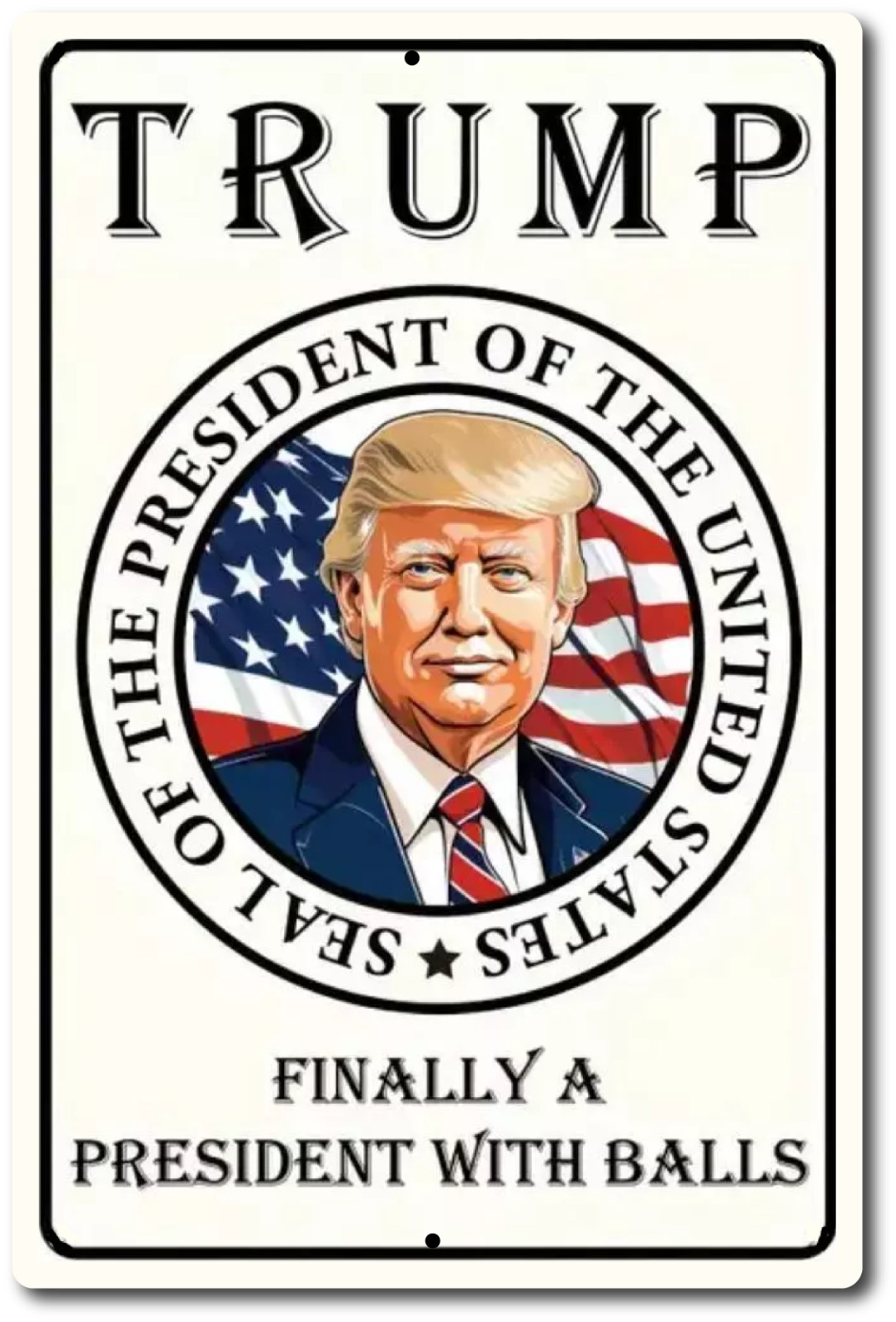 2024 Tin Metal Sign DONALD TRUMP TRUMP FINALLY A PRESIDENT WITH BALLS
