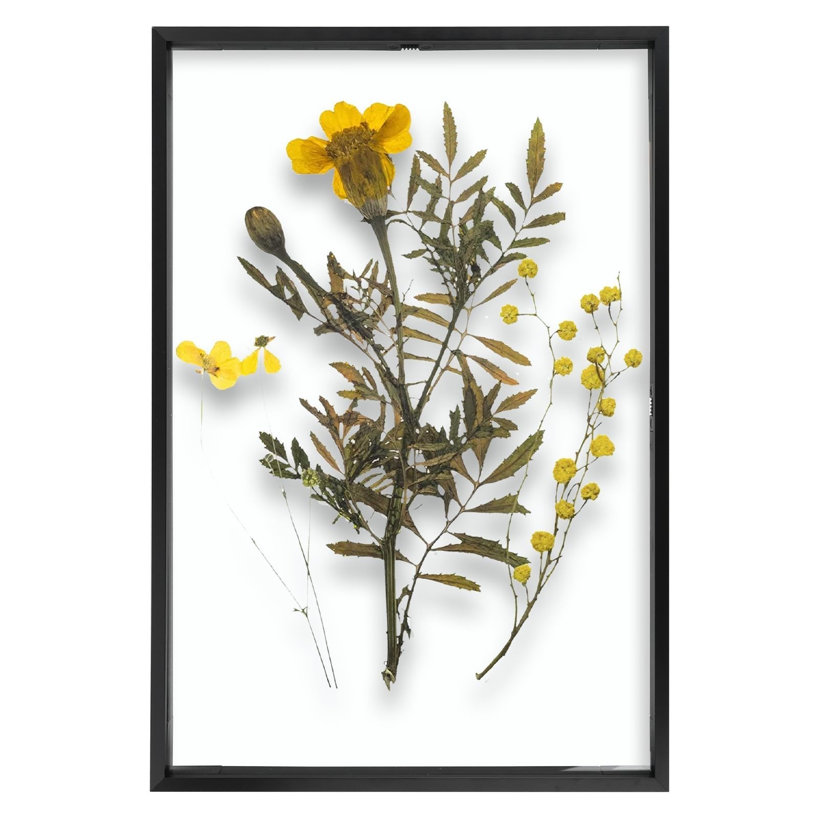 12×18 Black Aluminum Metal Floating Picture Frame Real Glass Pressed Flower