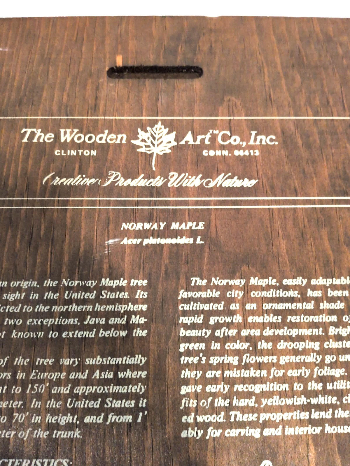 Vintage 1972 Wooden Art Co Tree Wall Plaques Set of 3 Norway Maple Oak Elm MCM