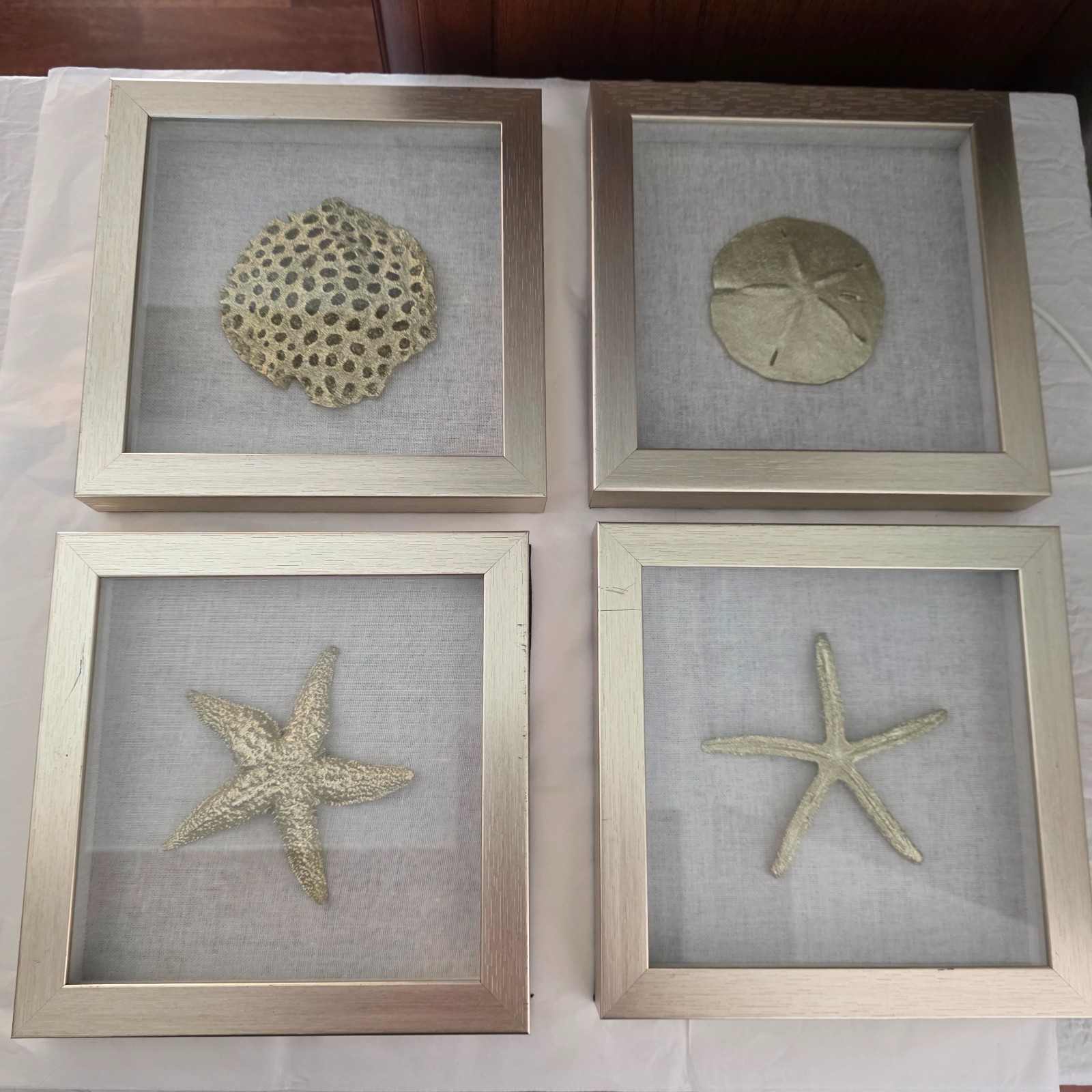 Starfish & Sand Dollar 3D Shadow Box Front Glass Cover Linen Interior Background