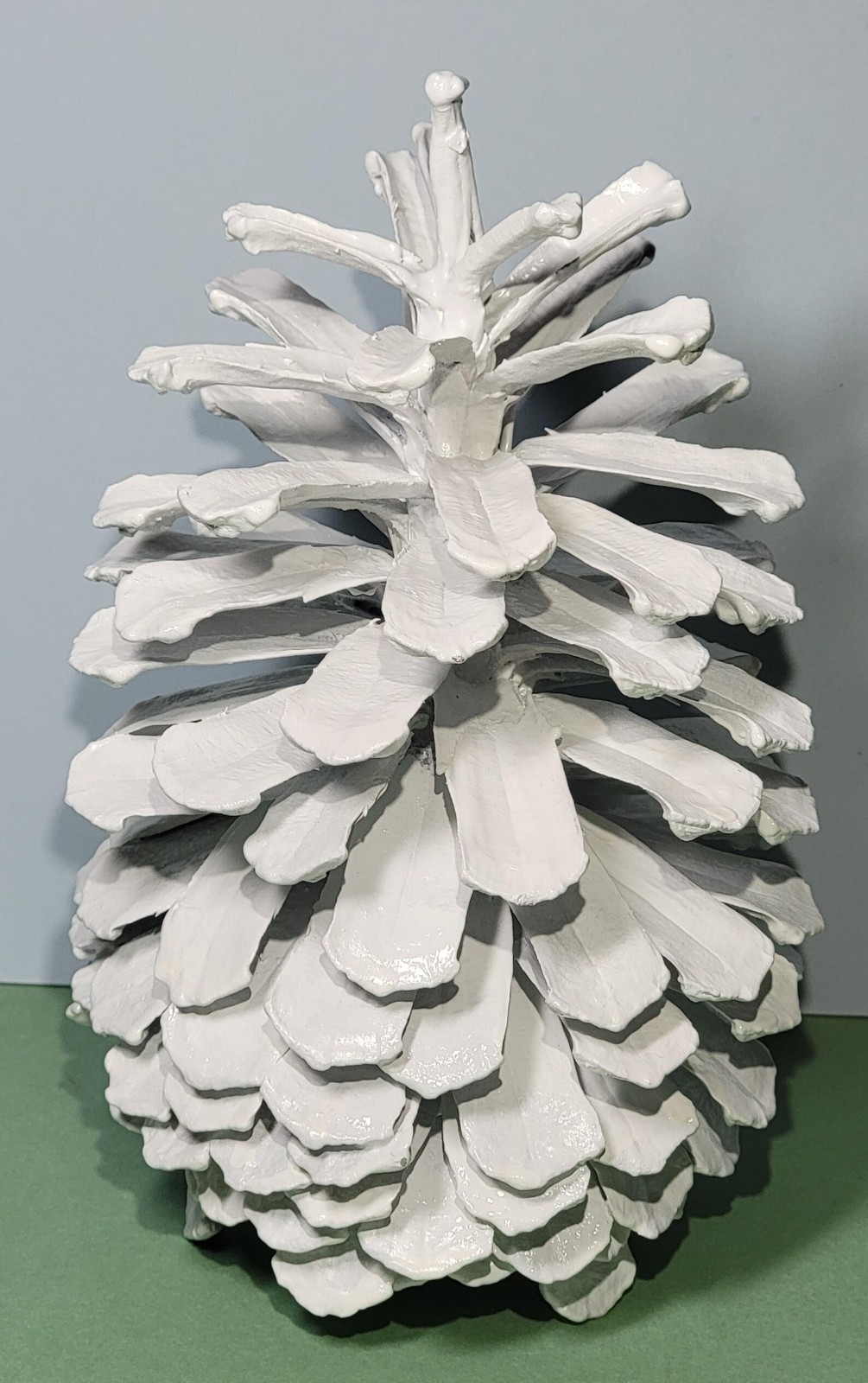 Large White Painted Long Leaf Pine Cone Natural Pinecone Display Holiday Wedding