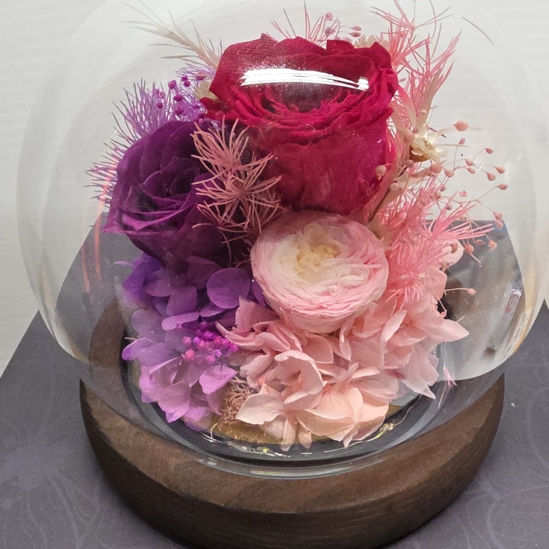 Pink And Purple Preserved Roses Dome With Fairy Lights, 4 Inch, Gift For Her