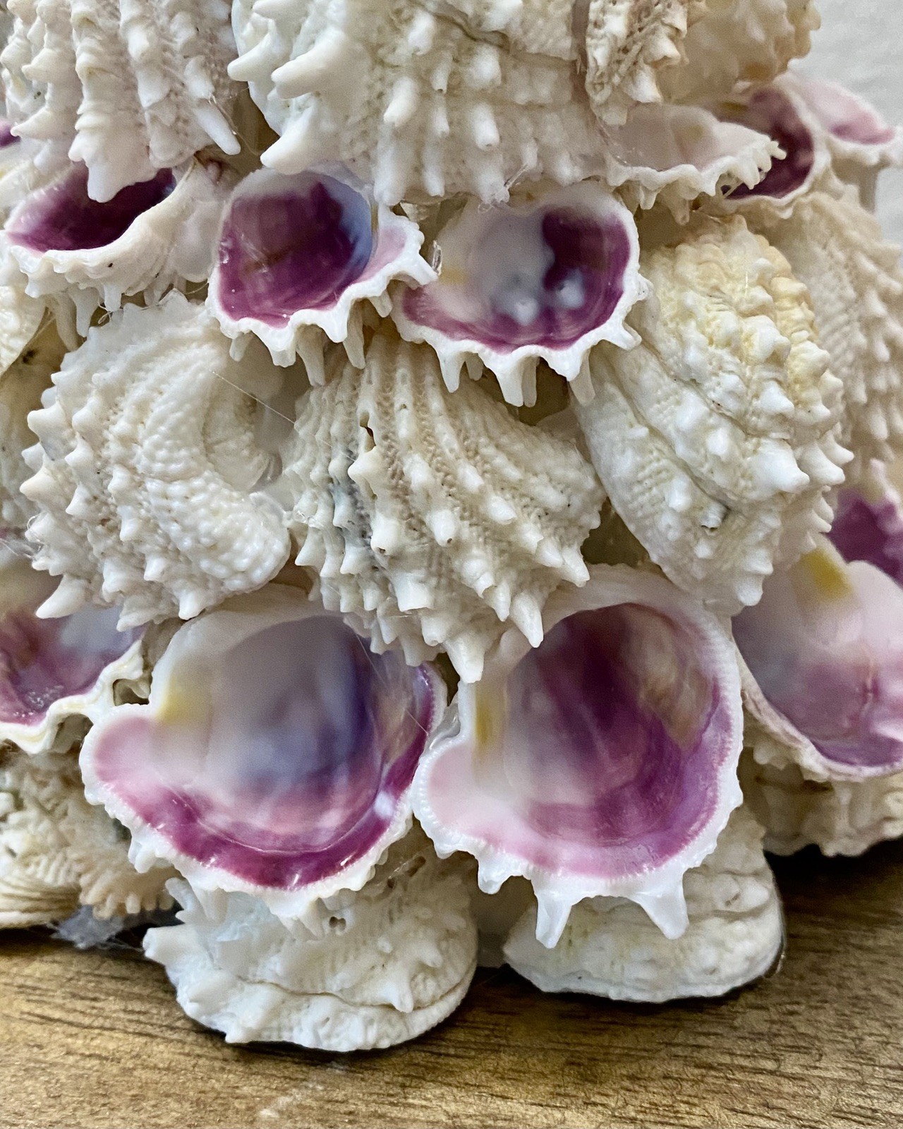 Spiny Jewel Box Seashell Vase Handcrafted Real Sea Shells, for wedding/events.