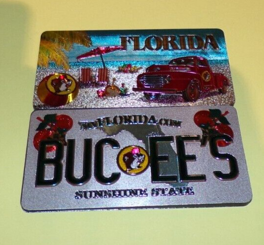 Buc-ee&rsquo;s Florida The Sunshine State DOUBLE-SIDED Magnet Sparkles Daytona Beach