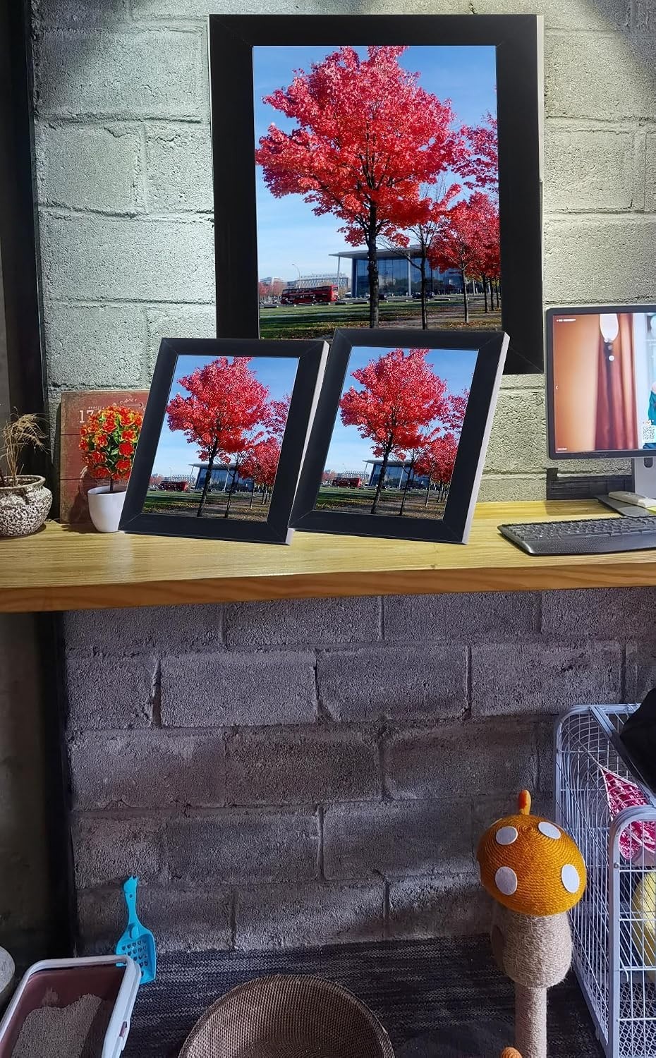 Modern Black Frame: 8×12 or 6×8 Photo & Certificate Display, Freestanding