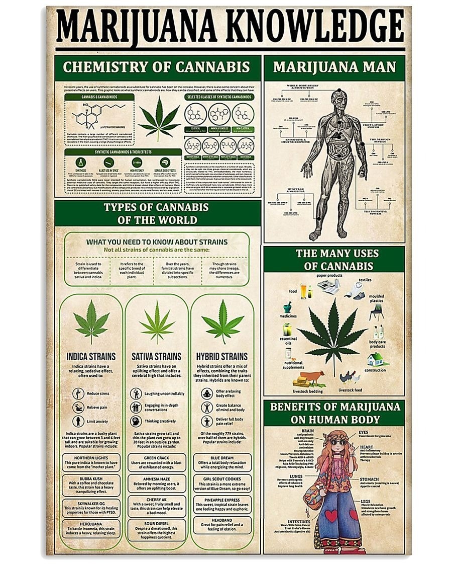 Vintage Cannabis Knowledge Art, Marijuana Knowledge Poster – Unframed