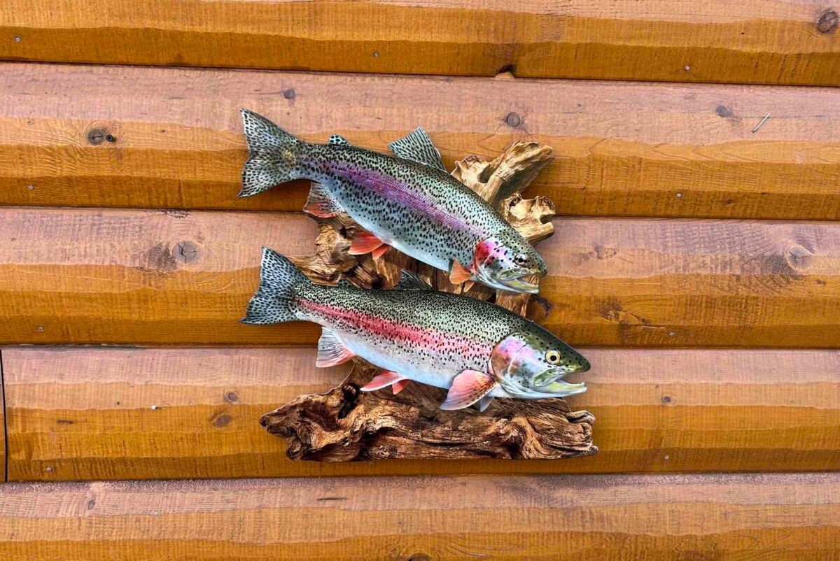 Rainbow Trout Wall Art Duo Flat Metal Fish Wall Decor with Driftwood for Rustic