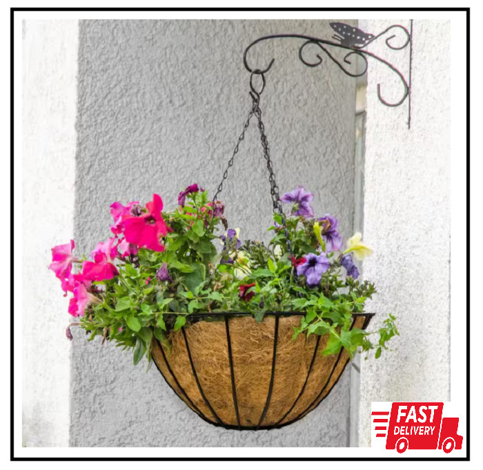 14 In. Dia Black Metal Growers Hanging Basket with Coco Liner