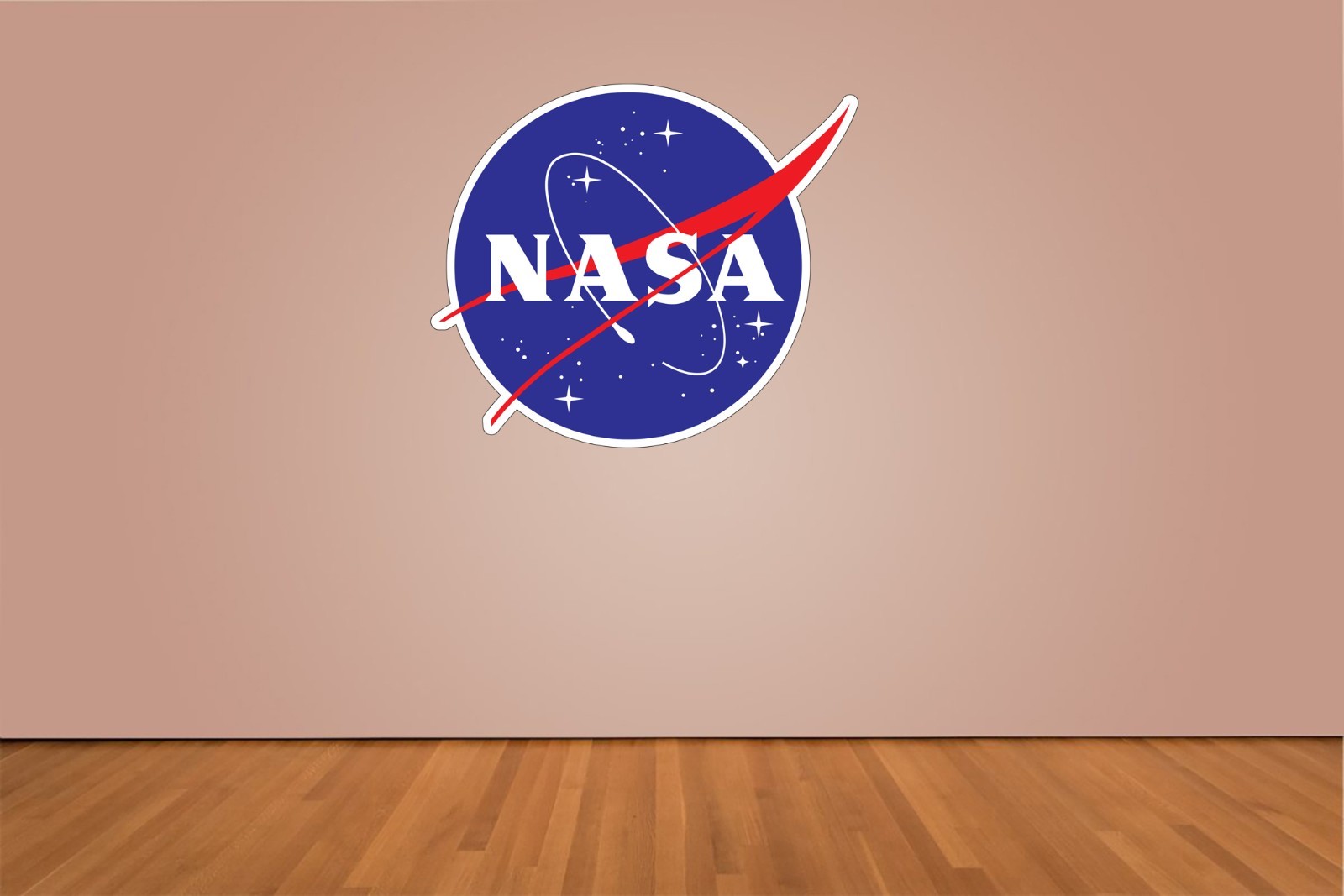 NASA Logo Indoor Wall Vinyl Decal Sticker 5&Prime; – 52&Prime;