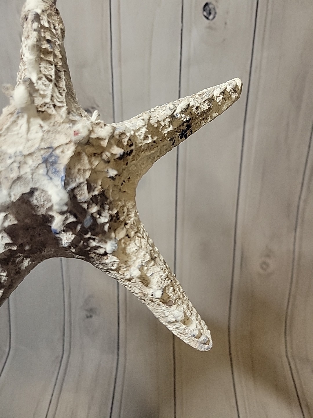 Starfish 8&Prime; Wall Hanging Ocean Sea Decor Bathroom Any Room