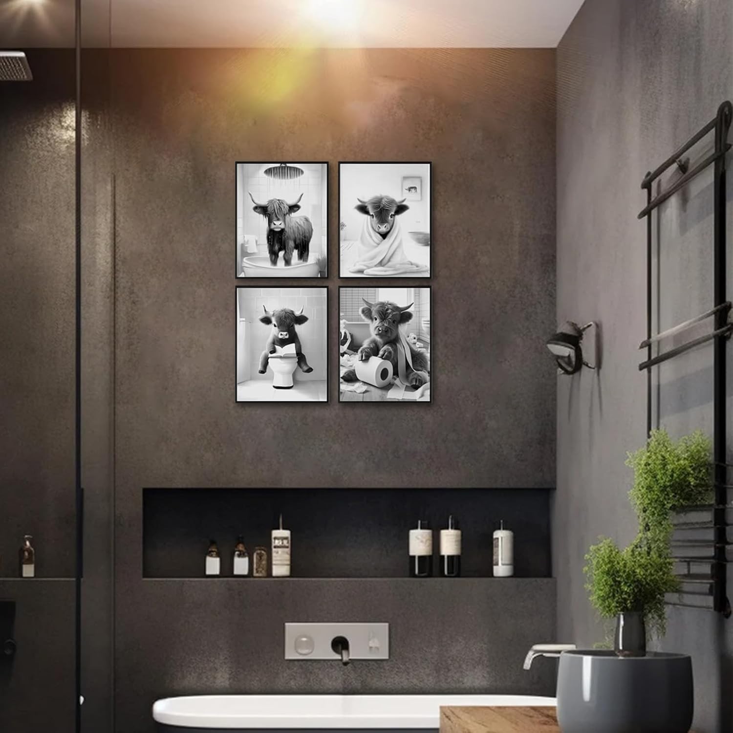 Humorous Black and White Highland Cow Canvas Prints – 8x10in Bathroom Decor