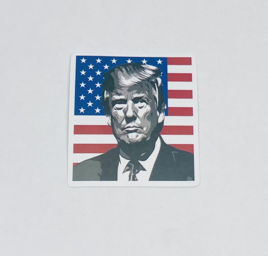 Trump 2024 Campaign Sticker USA Flag Hair Art Decal Vinyl Souvenir Tc6