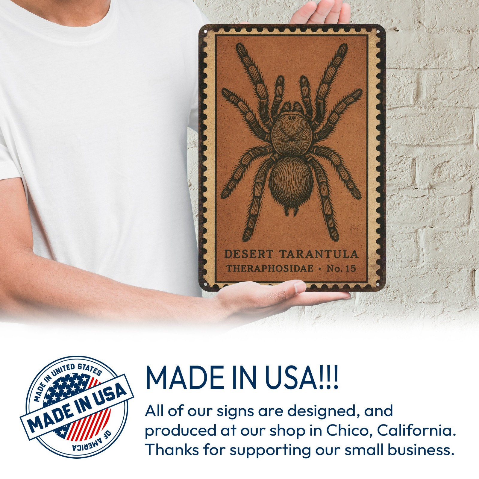 Tarantula Signs, Spider Wall Art, Spider Signs, Arachnophobia, Metal Signs