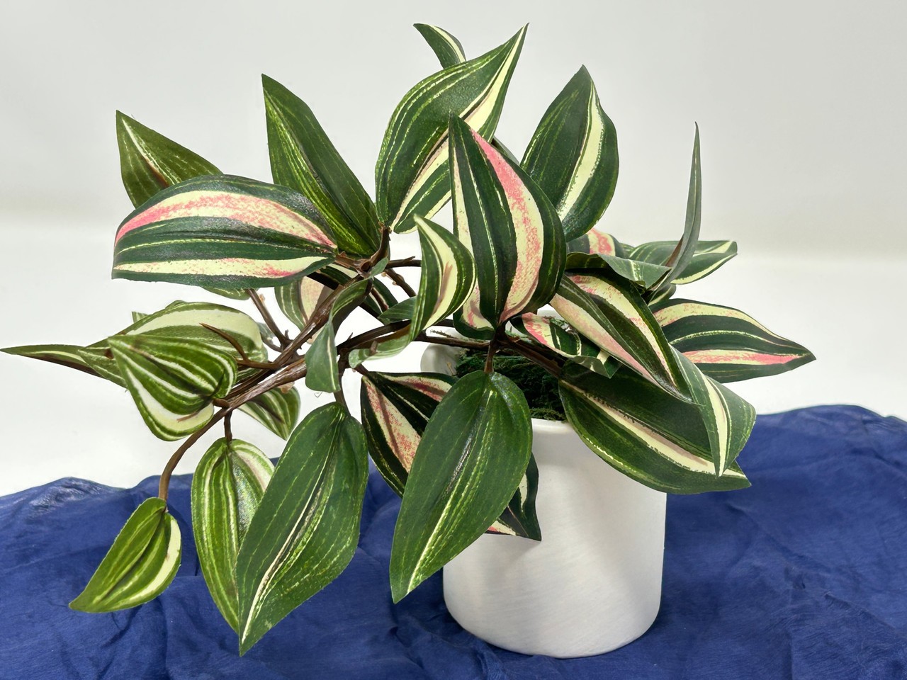 6.5&Prime; Mini VARIEGATED JEW faux Silk plant potted in matte white Ceramic Pot, hand