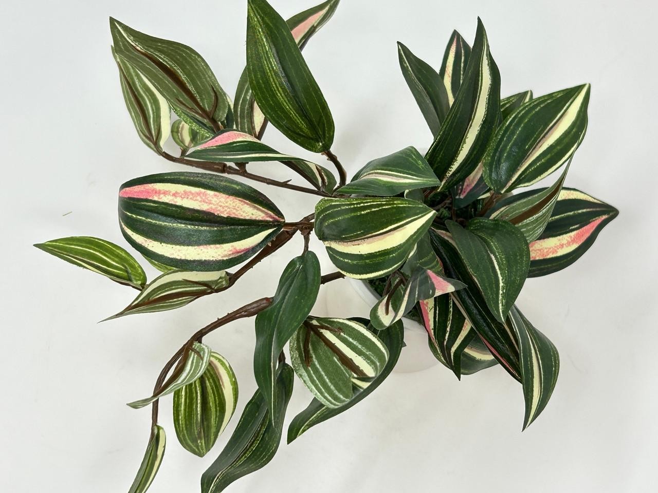 6.5&Prime; Mini VARIEGATED JEW faux Silk plant potted in matte white Ceramic Pot, hand