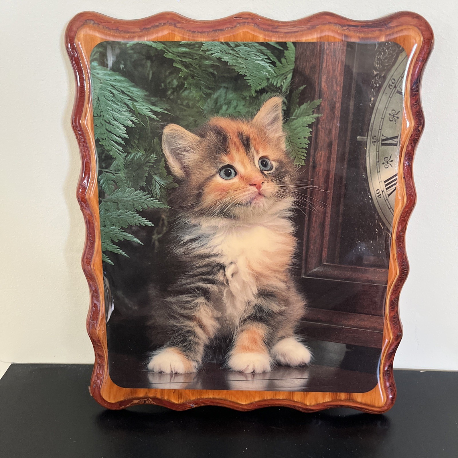 VTG Wooden Lacquered Wall Mounted Picture Calico Kitten 9.25”x11.5” Grannycore