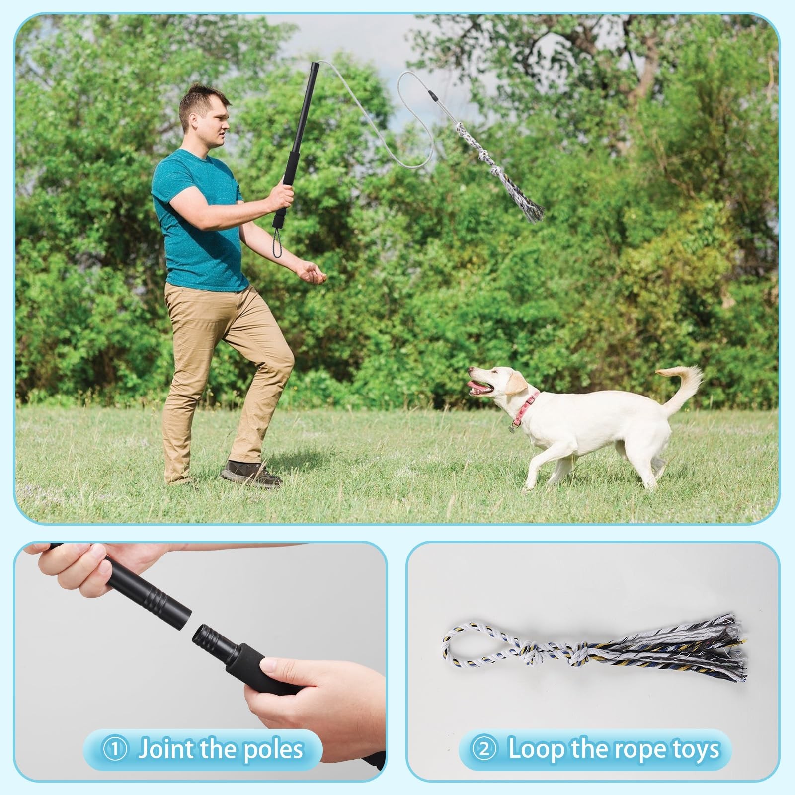 Flirt Pole for Small Medium Dogs,Interactive Chase and Tug of War Black