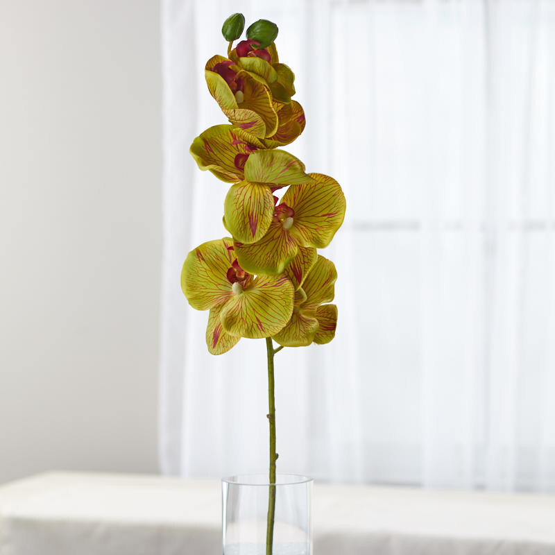 Set of 2 Artificial Green Poly Silk Moth Orchid 32&Prime; Floral Stems