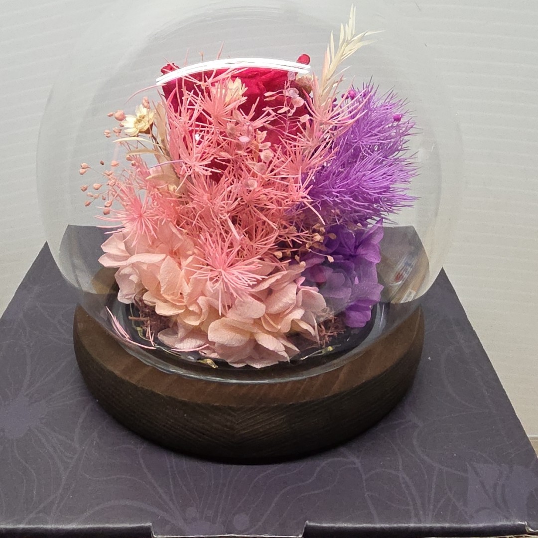 Pink And Purple Preserved Roses Dome With Fairy Lights, 4 Inch, Gift For Her