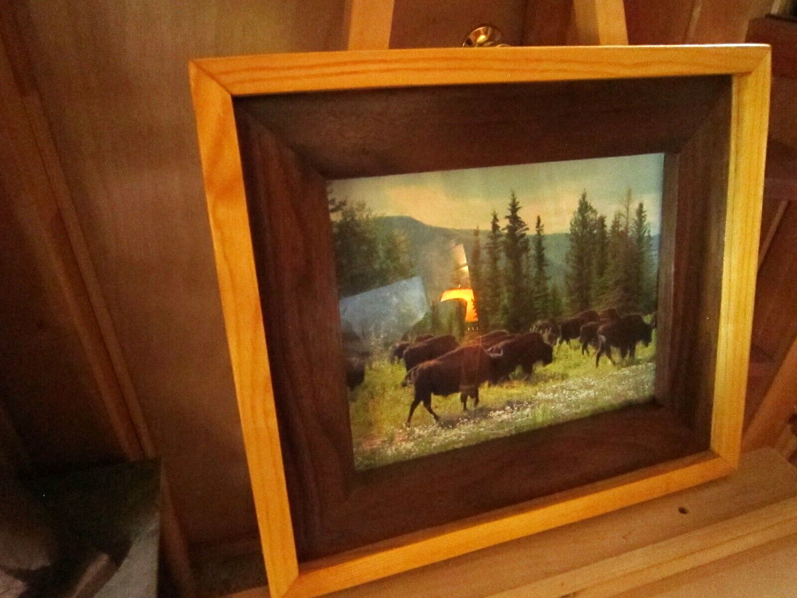 Arizona Buffalo Picture Frame