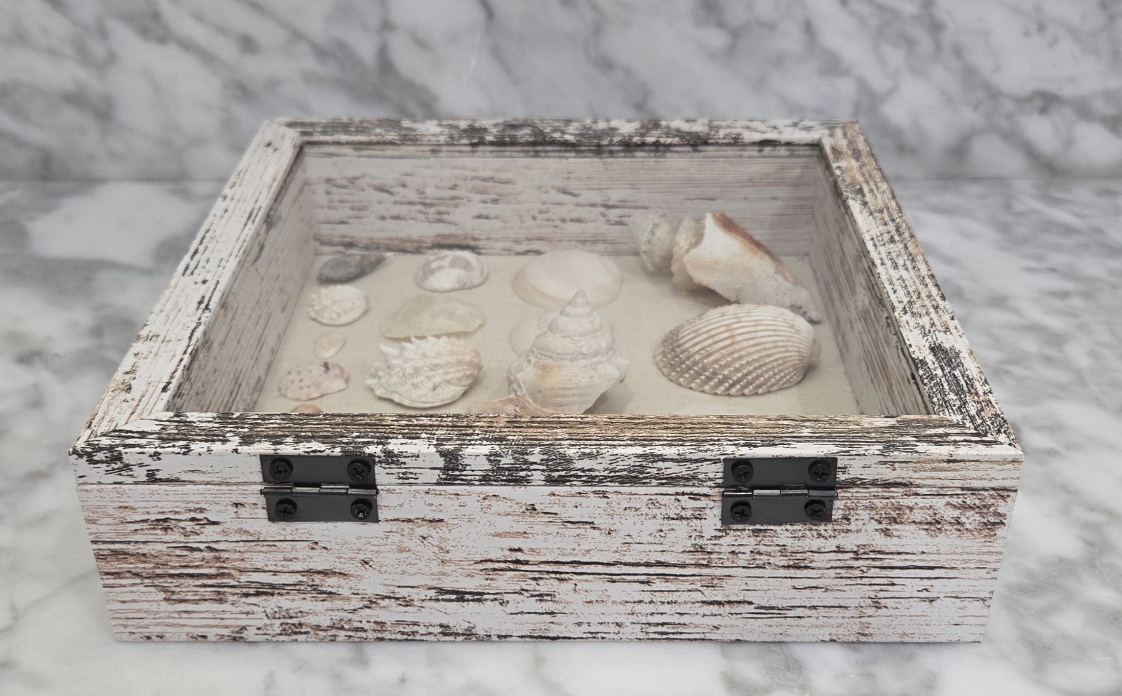 Handmade Florida Gulf Coast Seashell Shadow Box 8×8 Beach Coastal Decor Wall Art