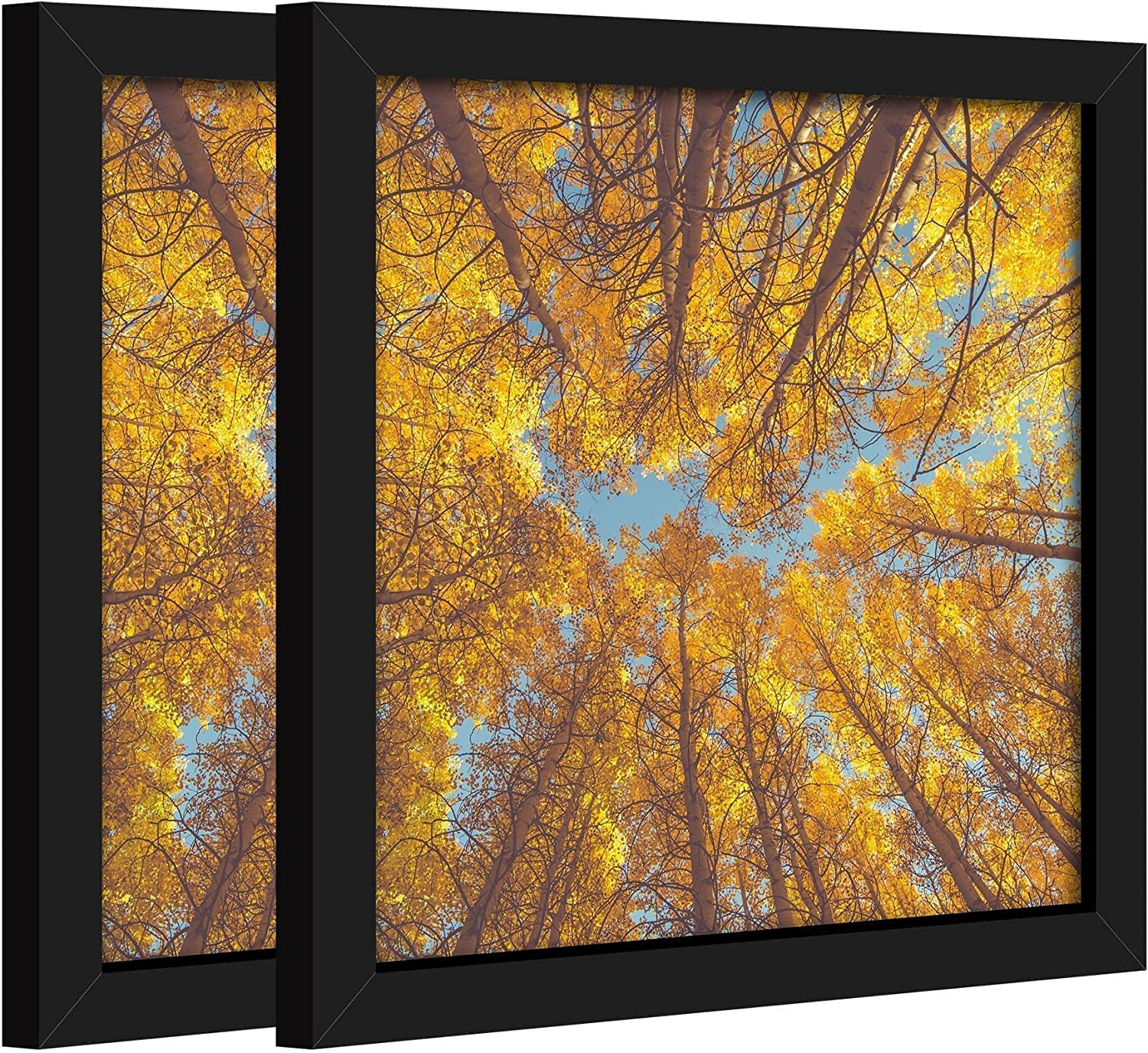 8X8 Picture Frame Set of 2,8X8 Picture Frame Black, Diploma Certificate Square F