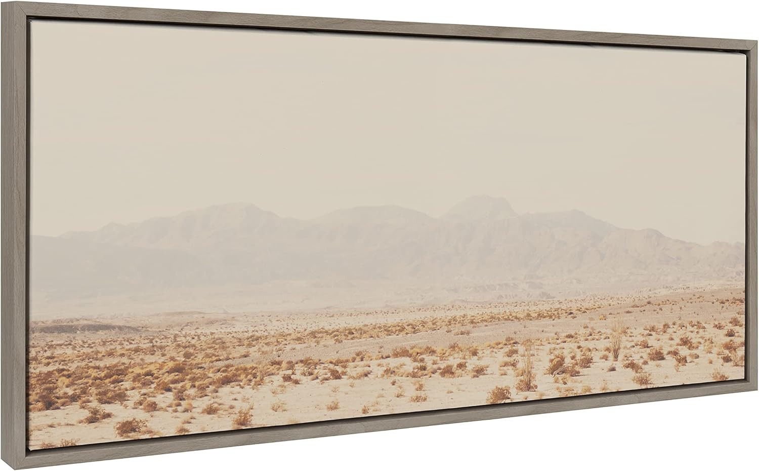 Sylvie California Dreaming Framed Canvas Art – Modern Desert Landscape 18×40