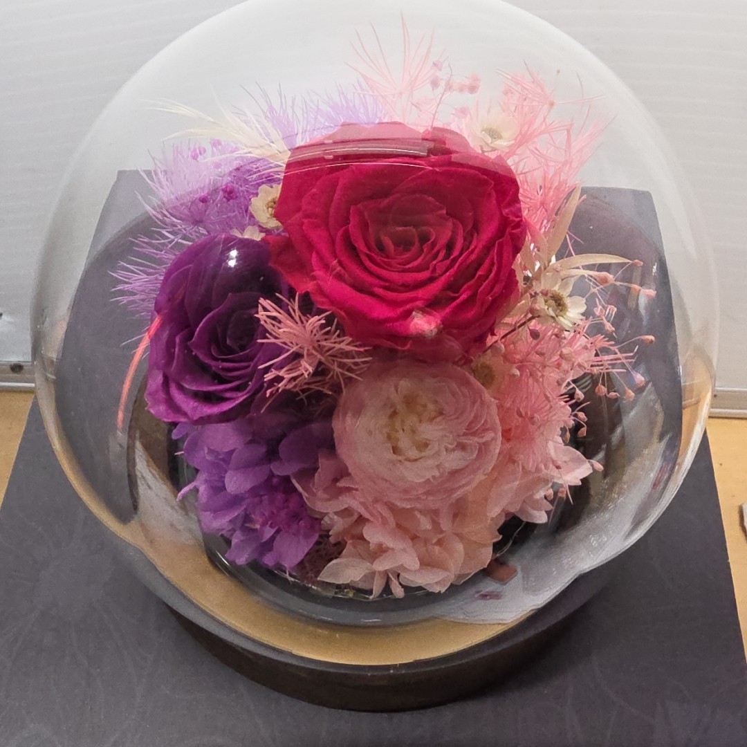 Pink And Purple Preserved Roses Dome With Fairy Lights, 4 Inch, Gift For Her