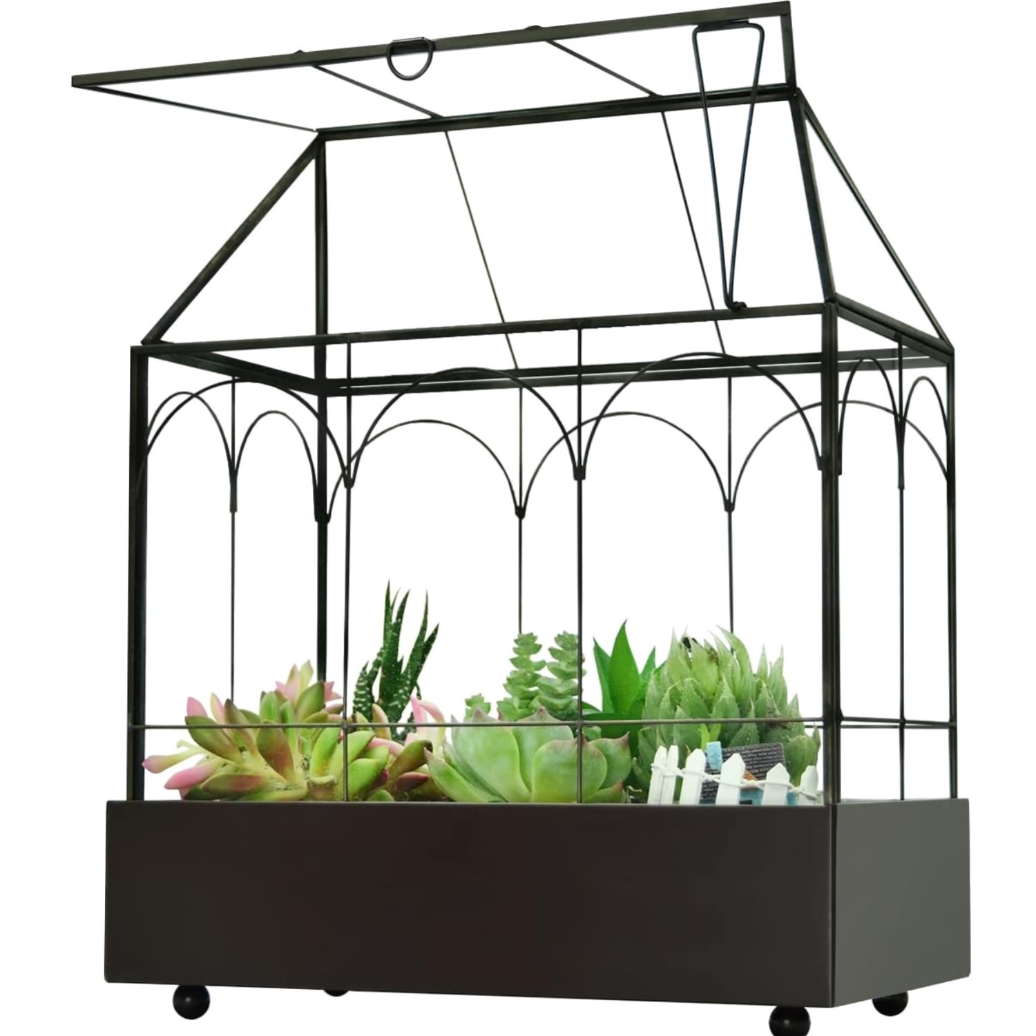 Large Tall Glass Plant Terrarium – House Succulent Terrarium Kit with Lip and…
