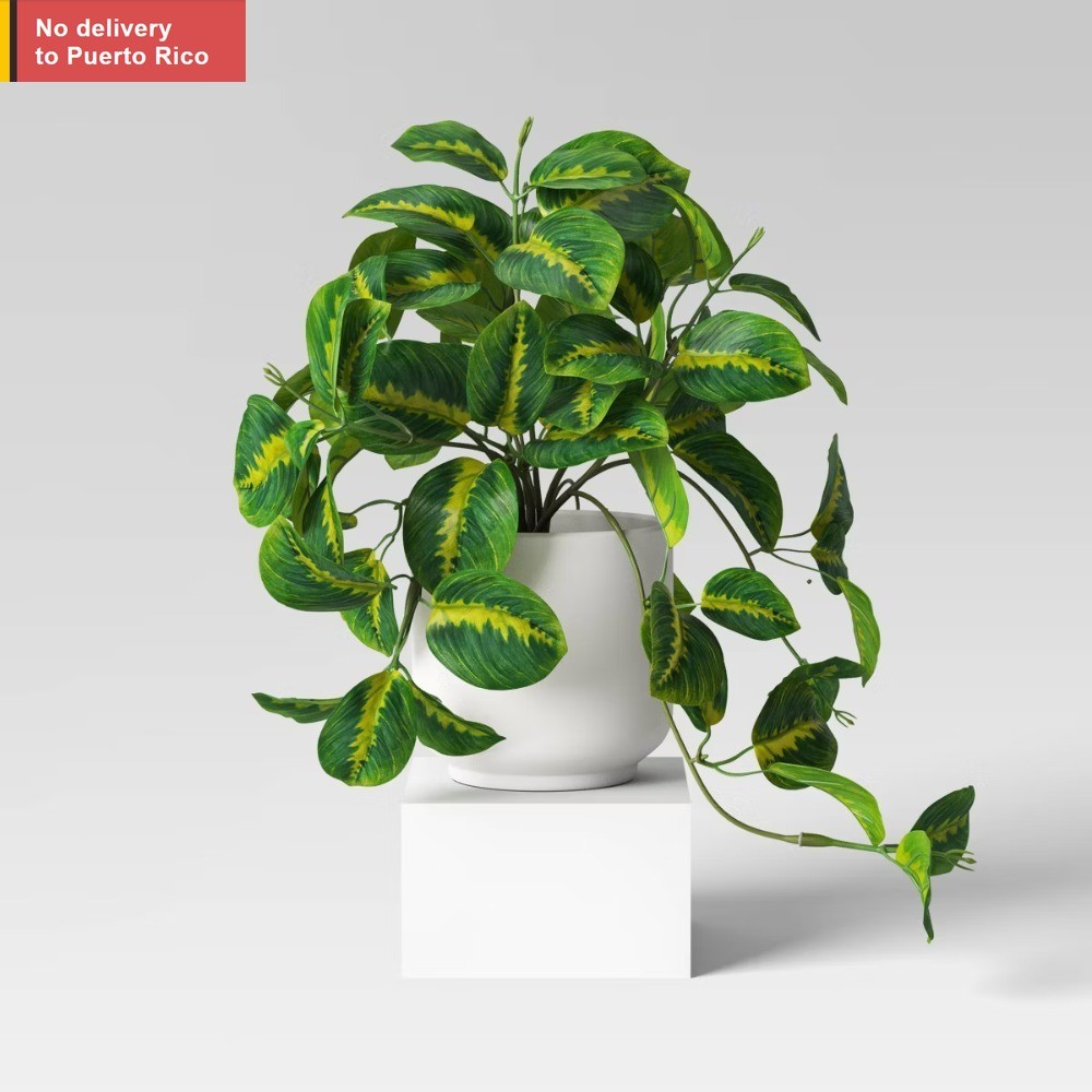 Trailing Prayer Artificial Plant – Room Essentials Fast delivery