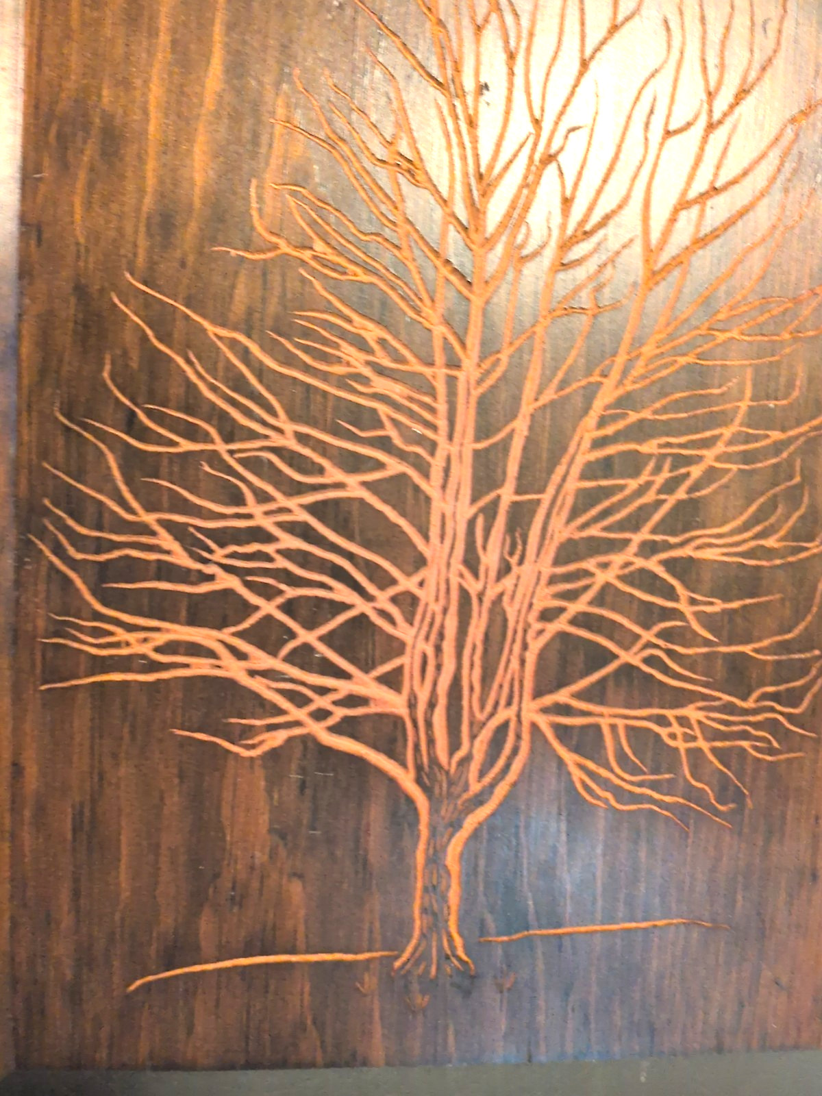 Vintage 1972 Wooden Art Co Tree Wall Plaques Set of 3 Norway Maple Oak Elm MCM