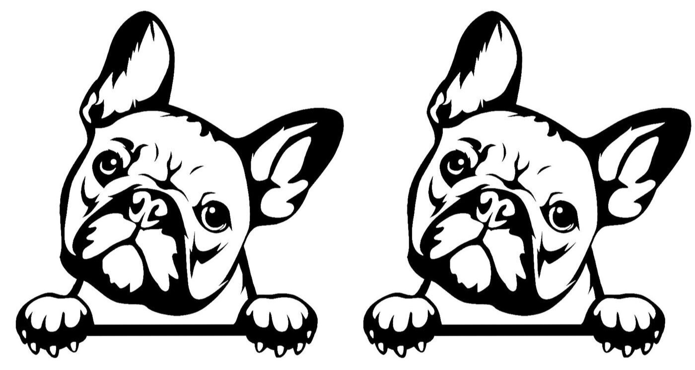 Peeking French Bulldog Two 5&Prime; Black vinyl decal Car Truck Laptop Tablet Notebook