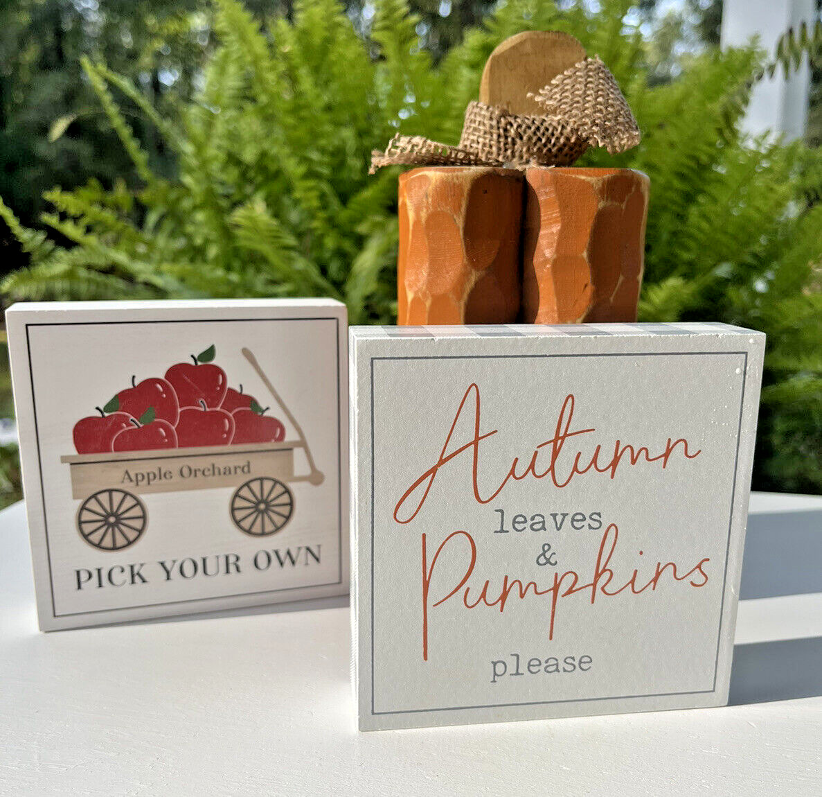 3 Pcs Set Apple & Pumpkin Signs Interchangeable Wood Figures Tier Tray S20