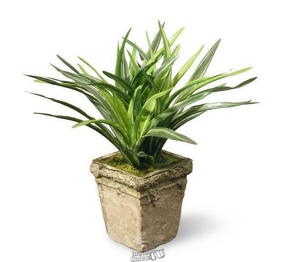 National Tree Company Indoor 9&Prime; Dracaena Plant