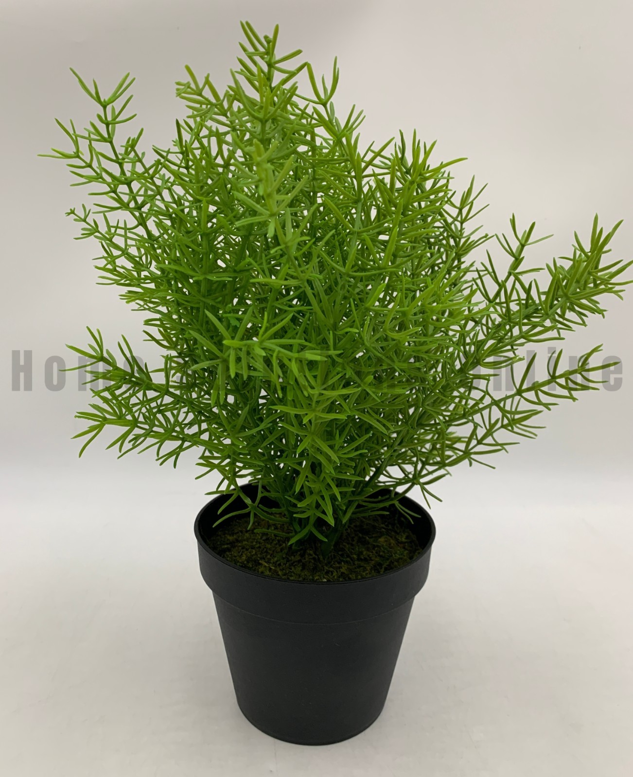 Pottery Barn Faux Potted Asparagus Fern Houseplant Medium 13&Prime; #S8007