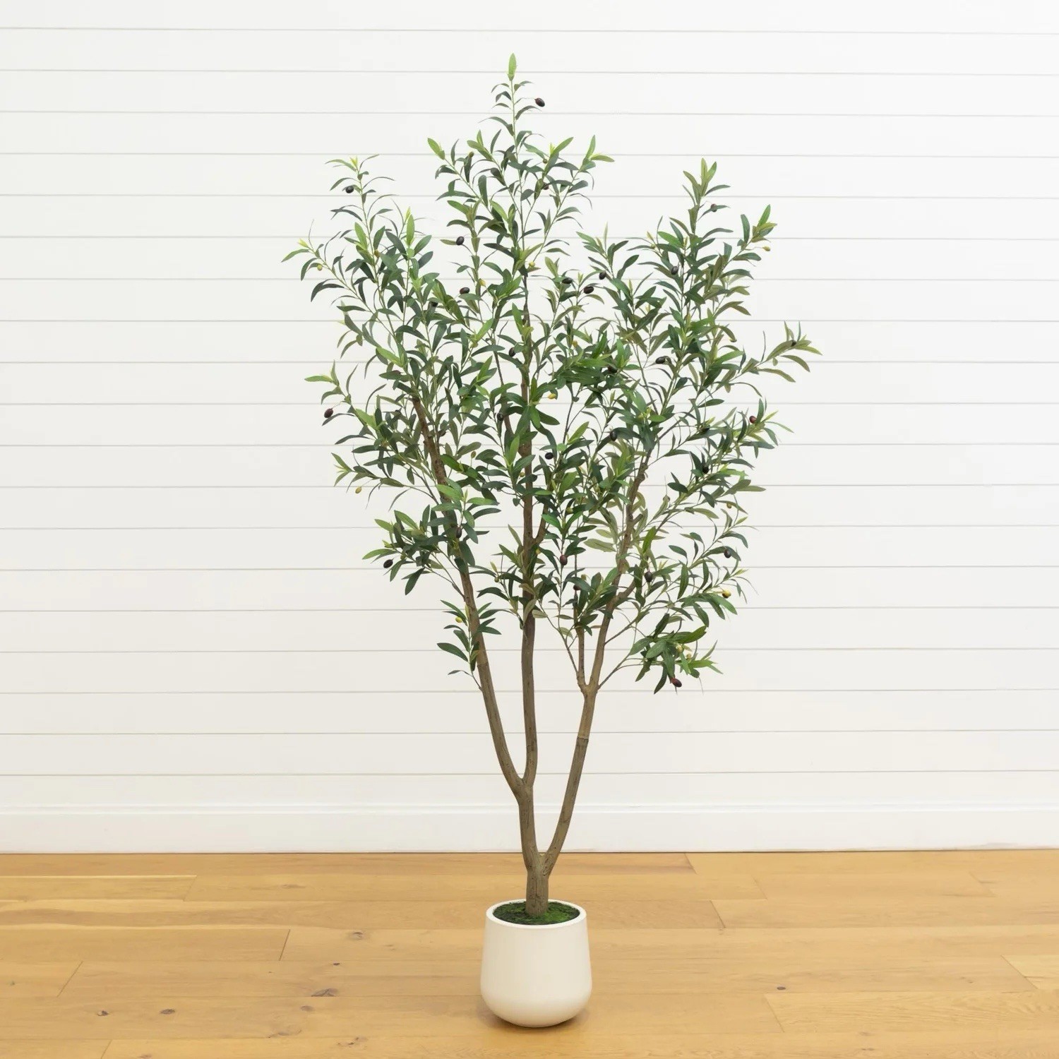 7&prime; Artificial Olive Tree in White Decorative Planter