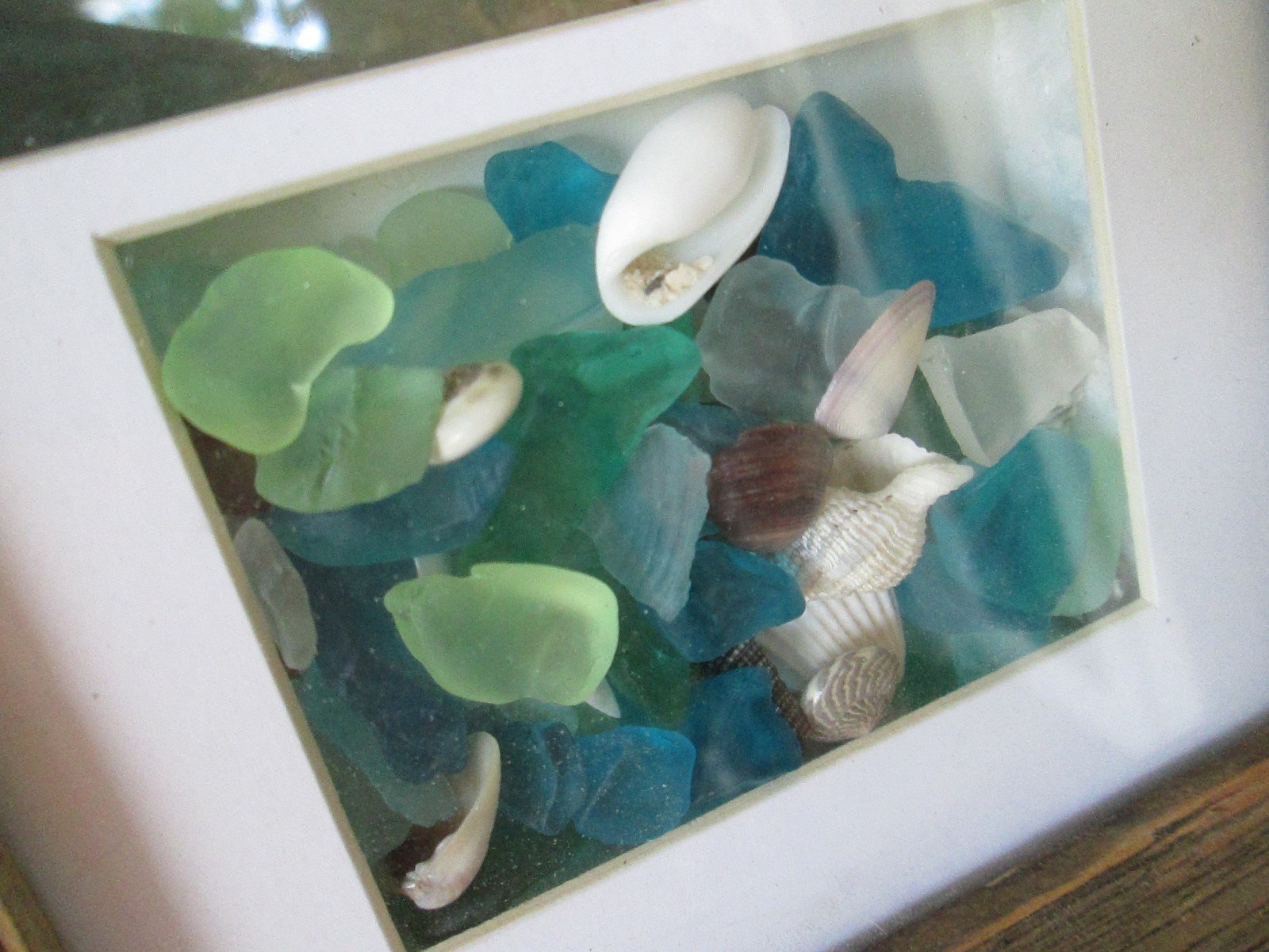 Rare Seaglass Shells Rustic 11&Prime; x 9&Prime; Picture Framed Wood Ocean Sea Glass Wall