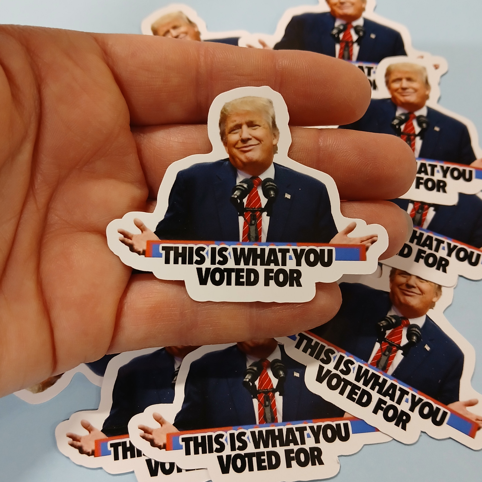 Trump Sticker -« This is What You Voted For » Anti-Trump Political Meme – 12 pack
