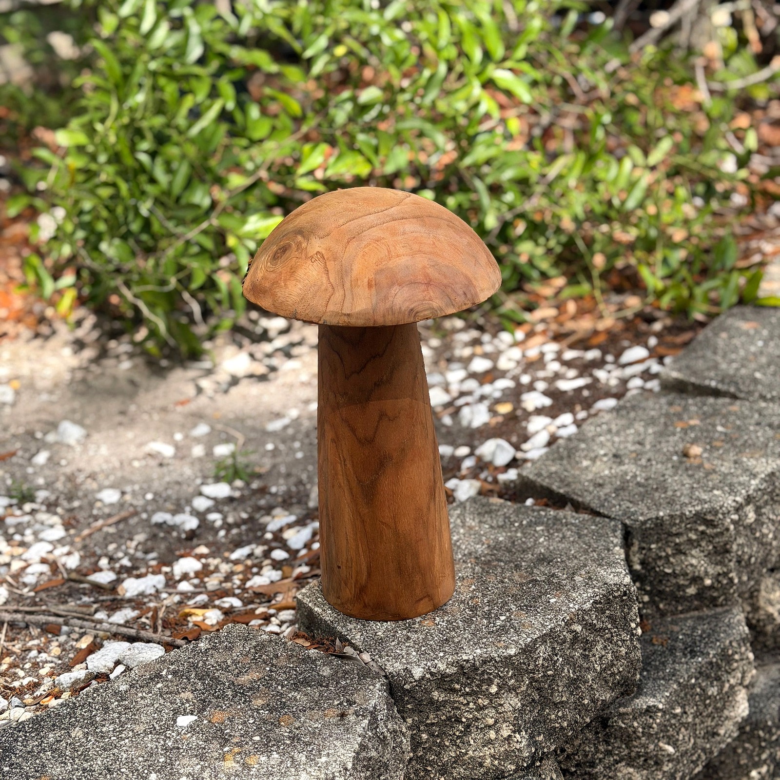 Wood Mushroom Statue 12.5 in Natural Solid Wood Freestanding Sculpture