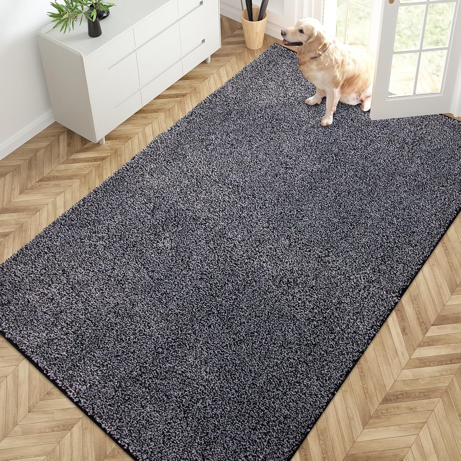 Easy Care Area Rug 4.5ft x 7ft, Non-Slip Washable Entryway Rug, Dog Door Mat,