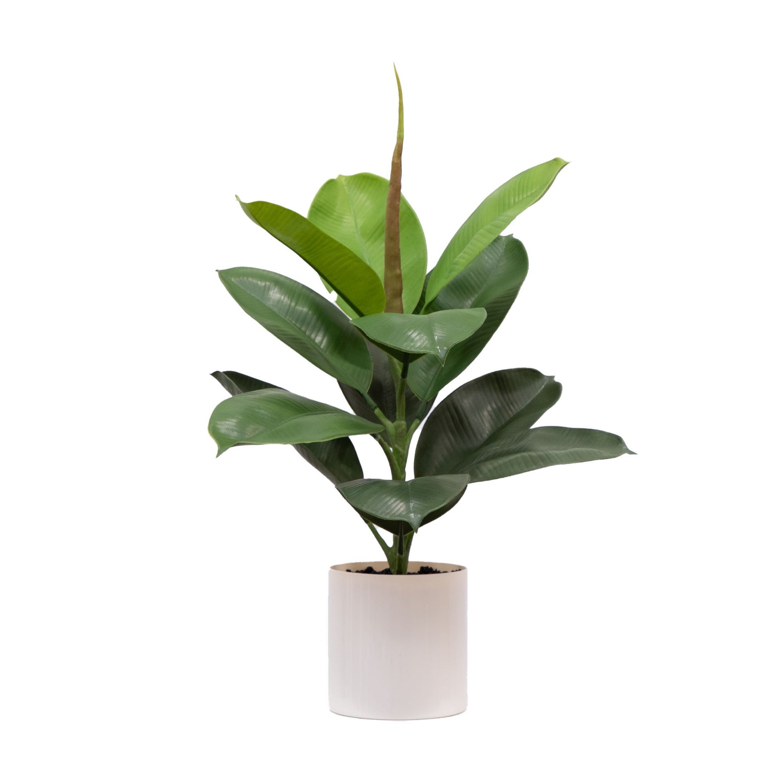 20&Prime;H Artificial Indoor Fiddle Leaf Fig Plant in Plastic Vanilla Planter
