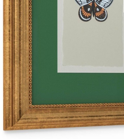Rifle Paper Co 11&Prime;x14&Prime; Gold Foil Insect Poster Framed Wall Art Prints