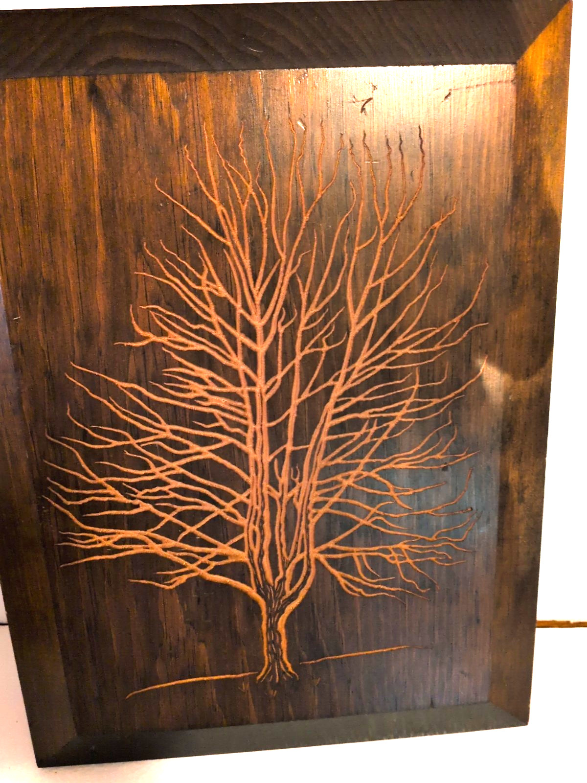 Vintage 1972 Wooden Art Co Tree Wall Plaques Set of 3 Norway Maple Oak Elm MCM