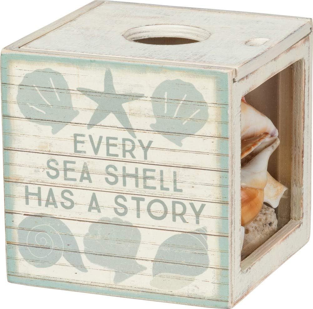 Seashell Holder Coastal Decor Glass Display Treasure Chest Room & Bedroom Decor