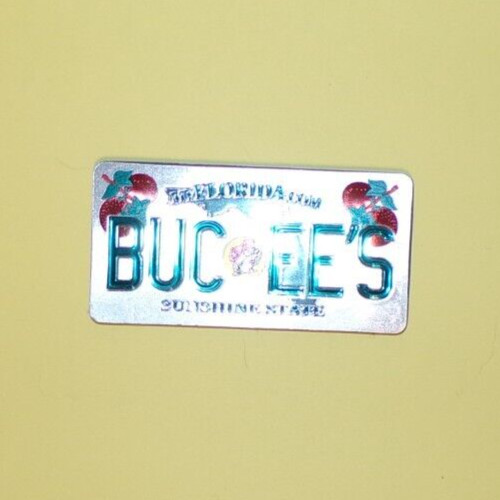 Buc-ee&rsquo;s Florida The Sunshine State DOUBLE-SIDED Magnet Sparkles Daytona Beach